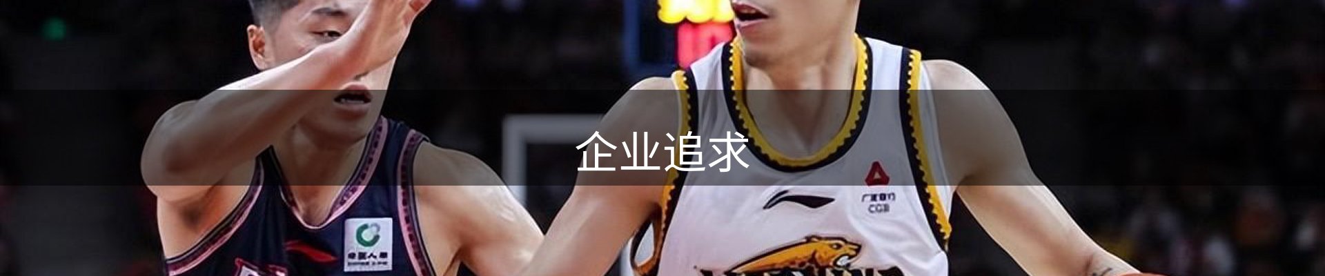 企业追求